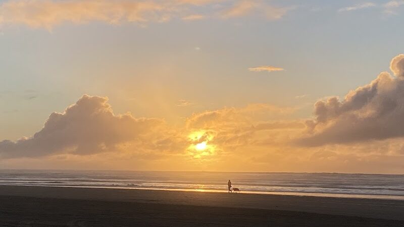 Grayland Beach Oba State Park Drive On Access - Grayland, WA