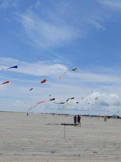 Grayland Beach Oba State Park Drive On Access - Grayland, WA