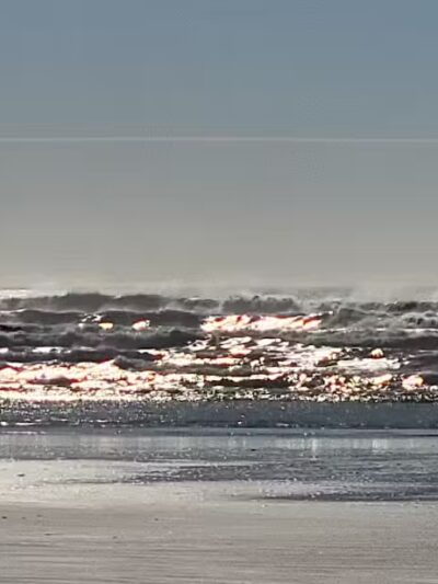 Grayland Beach Oba State Park Drive On Access - Grayland, WA