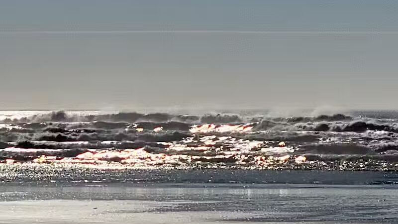 Grayland Beach Oba State Park Drive On Access - Grayland, WA