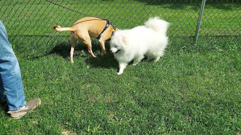 Allamuchy Recreation - Great Meadows, NJ