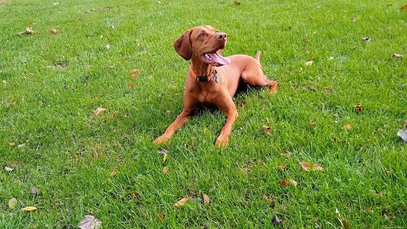 Allamuchy Recreation - Great Meadows, NJ