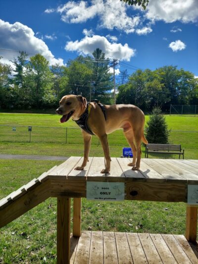 Allamuchy Recreation - Great Meadows, NJ