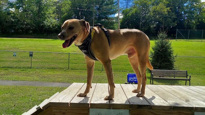 Allamuchy Recreation - Great Meadows, NJ
