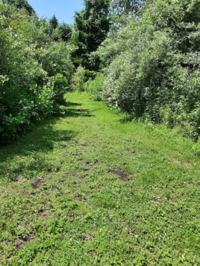 Allamuchy Township Nature Trail - Great Meadows, NJ
