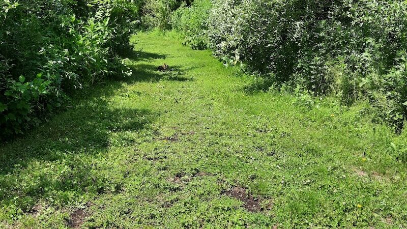 Allamuchy Township Nature Trail - Great Meadows, NJ