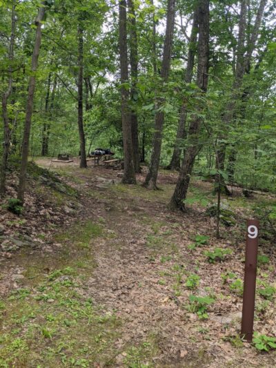 Campground#9 - Great Meadows, NJ