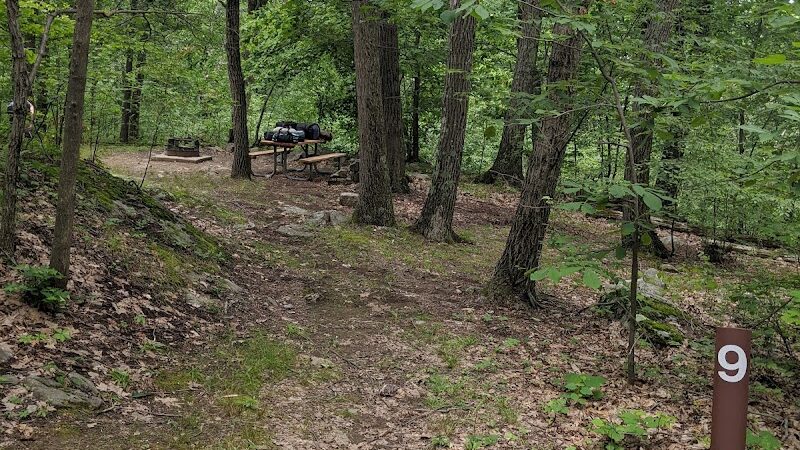 Campground#9 - Great Meadows, NJ