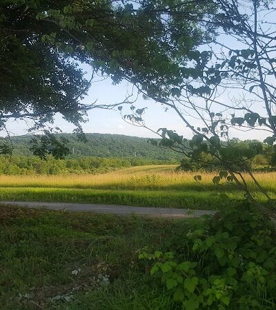 Field of Dreams Disc Golf Course - Great Meadows, NJ