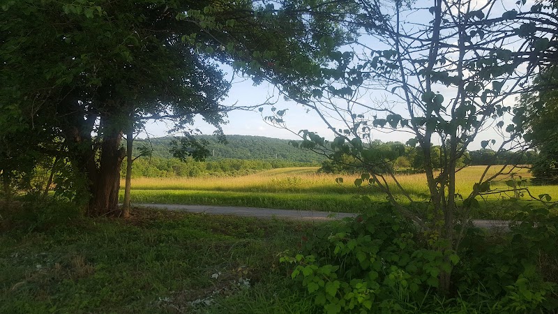 Field of Dreams Disc Golf Course - Great Meadows, NJ