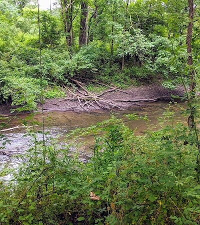 Field of Dreams Disc Golf Course - Great Meadows, NJ