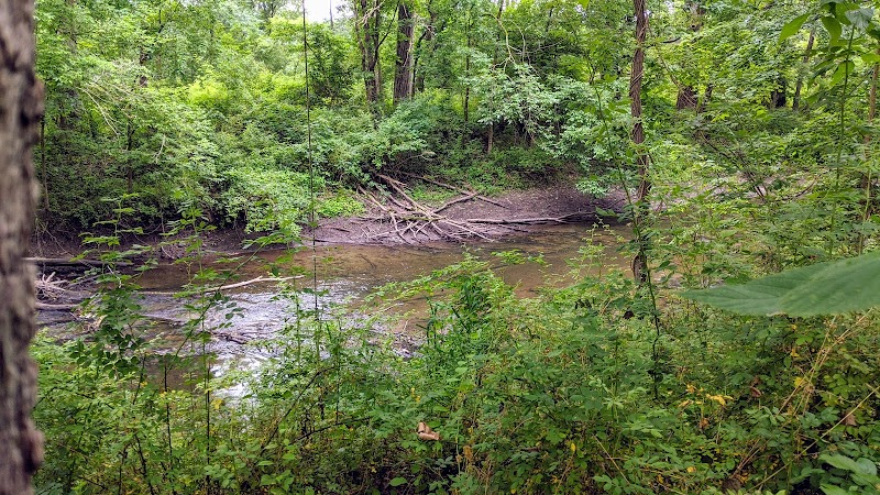 Field of Dreams Disc Golf Course - Great Meadows, NJ