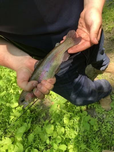 Independence Softball Fields - Great Meadows, NJ
