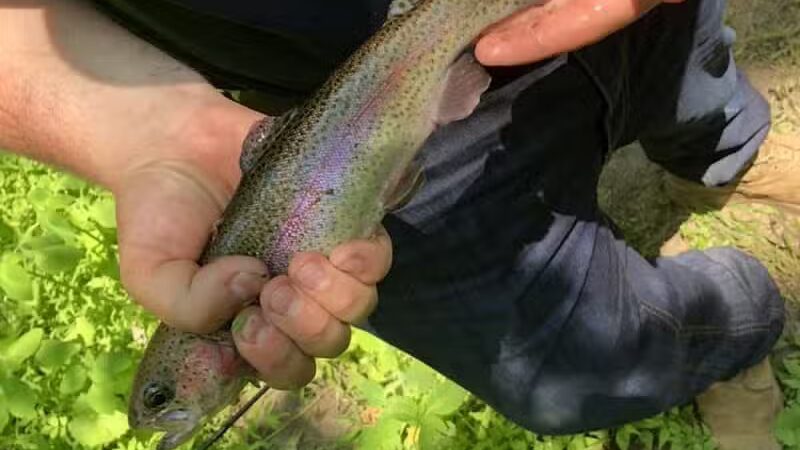 Independence Softball Fields - Great Meadows, NJ