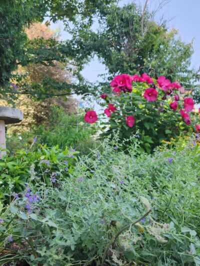 Ann Rudd Saxman Nature Park - Greensburg, PA