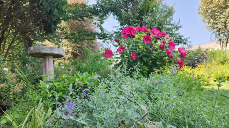 Ann Rudd Saxman Nature Park - Greensburg, PA