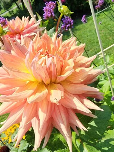 Ann Rudd Saxman Nature Park - Greensburg, PA