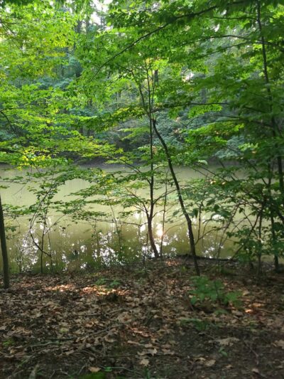Ann Rudd Saxman Nature Park - Greensburg, PA