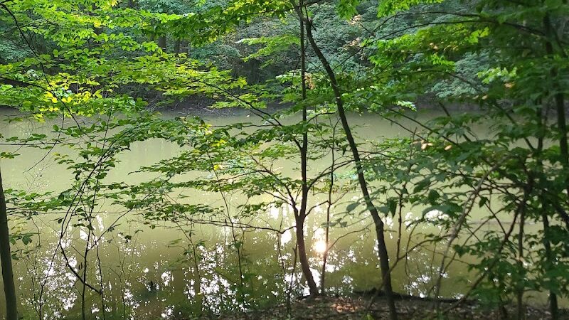 Ann Rudd Saxman Nature Park - Greensburg, PA