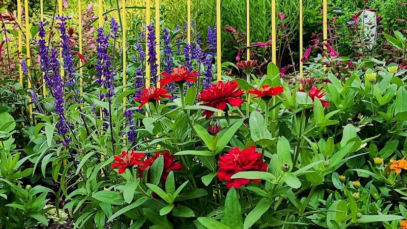 Ann Rudd Saxman Nature Park - Greensburg, PA