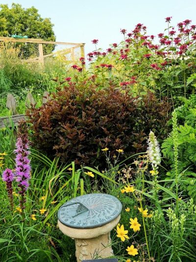 Ann Rudd Saxman Nature Park - Greensburg, PA