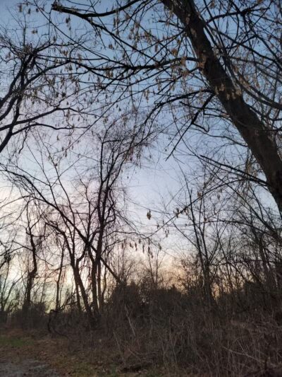 Ann Rudd Saxman Nature Park - Greensburg, PA