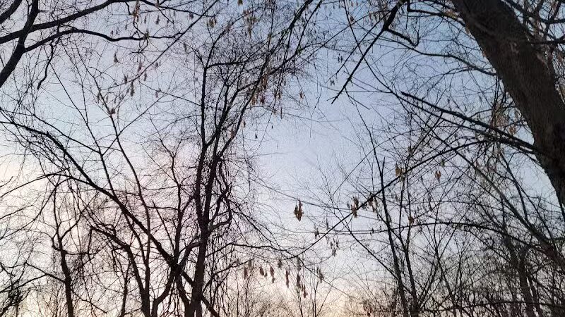 Ann Rudd Saxman Nature Park - Greensburg, PA