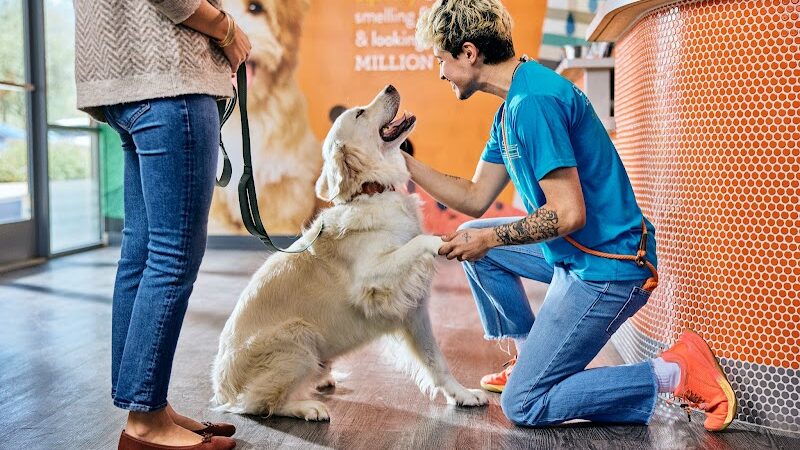 Dogtopia of Greensburg - Greensburg, PA