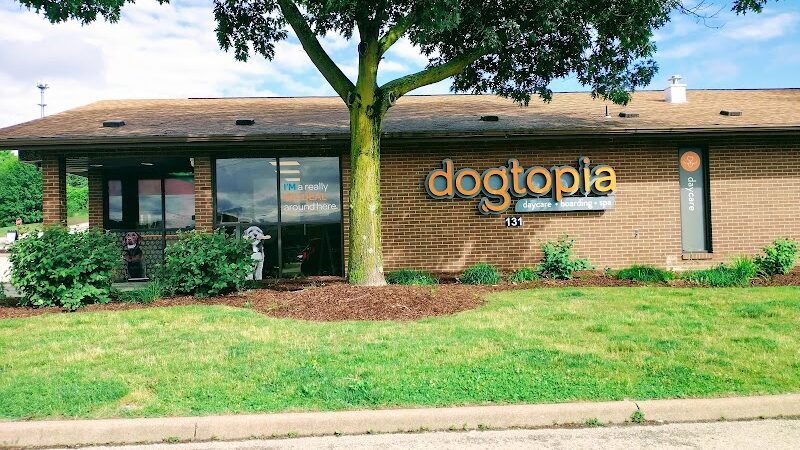 Dogtopia of Greensburg - Greensburg, PA