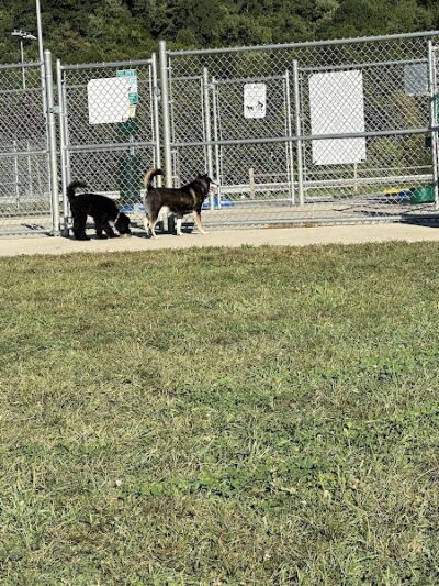 Hempfield Dog Park - Greensburg, PA