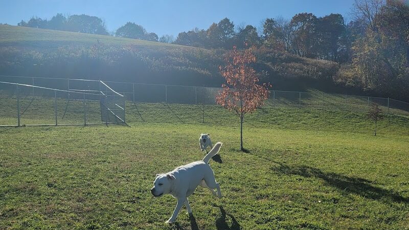 Hempfield Dog Park - Greensburg, PA