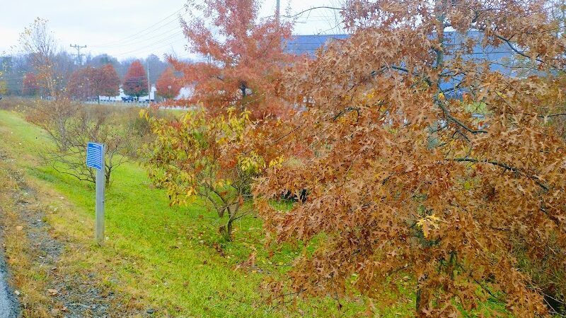 Hempfield Woodward Drive Walking Track - Greensburg, PA