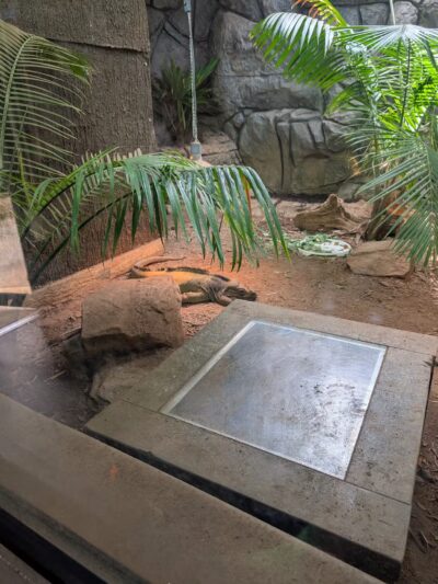 Cleveland Park - Greenville, SC