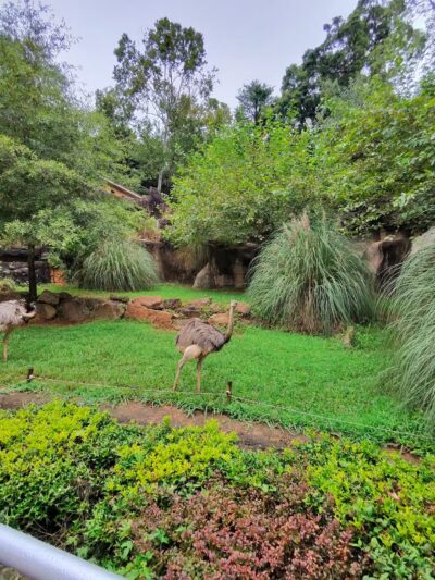 Cleveland Park - Greenville, SC