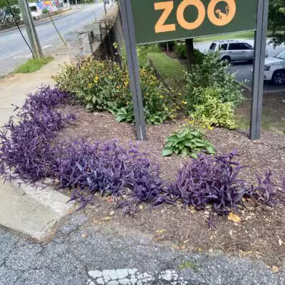 Cleveland Park - Greenville, SC
