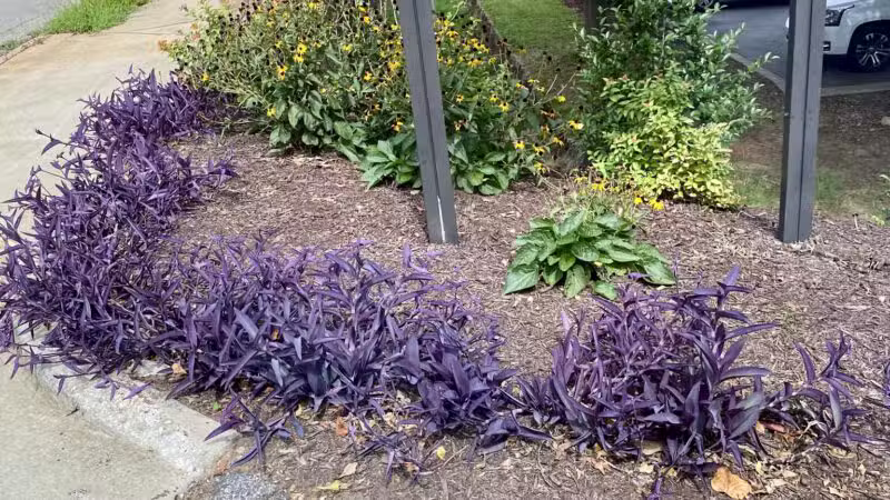 Cleveland Park - Greenville, SC