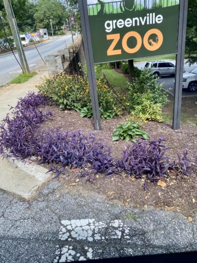 Cleveland Park - Greenville, SC