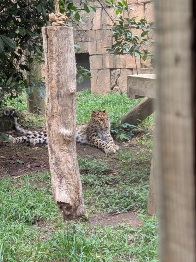 Cleveland Park - Greenville, SC