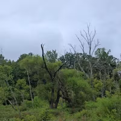 Conestee Park - Greenville, SC