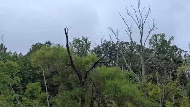 Conestee Park - Greenville, SC