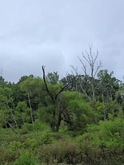 Conestee Park - Greenville, SC