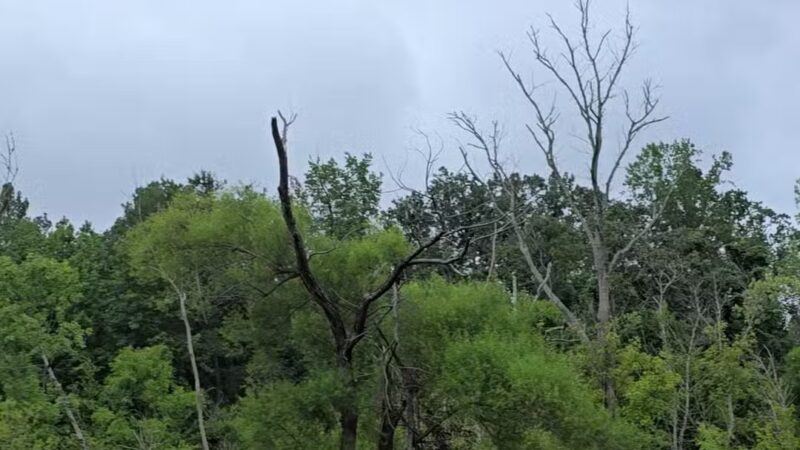 Conestee Park - Greenville, SC