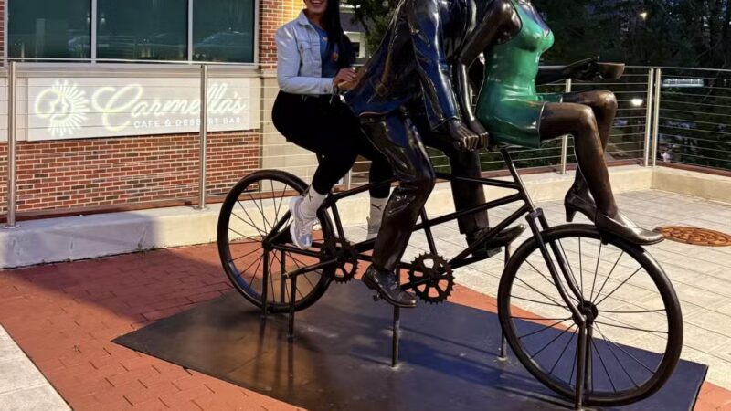 Downtown Greenville Sc - Greenville, SC