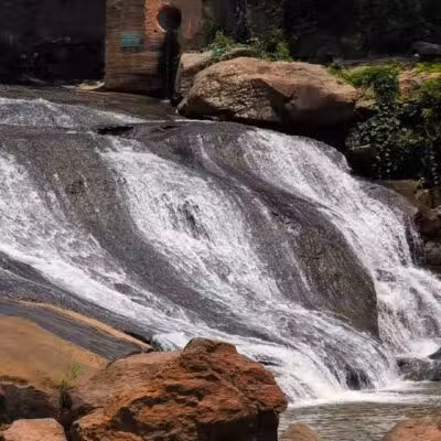 Falls Park on the Reedy - Greenville, SC