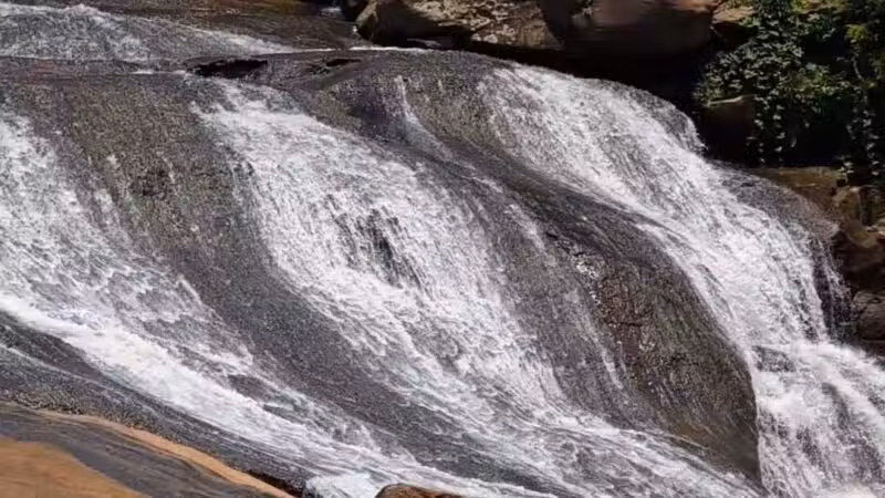 Falls Park on the Reedy - Greenville, SC