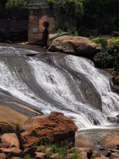 Falls Park on the Reedy - Greenville, SC