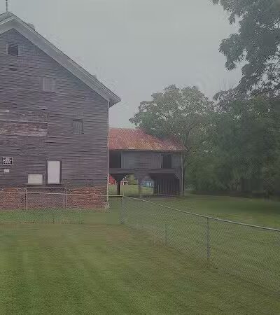 Greenville Dog Park - Greenville, NY