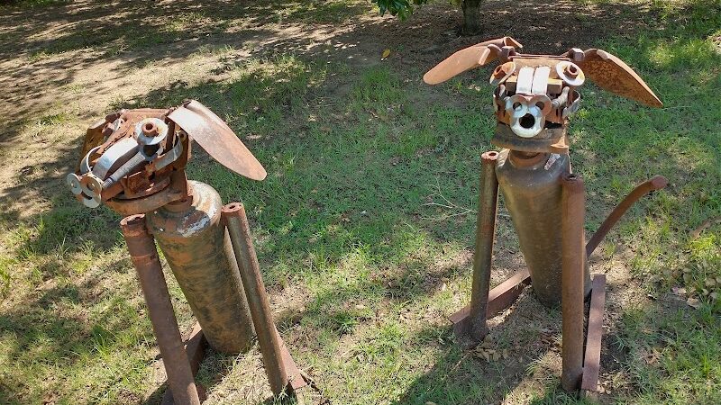 Greenville Offleash Dog Park - Greenville, NC