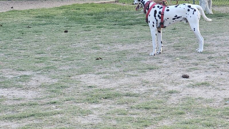 Greenville Offleash Dog Park - Greenville, NC