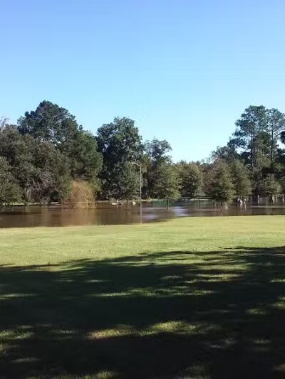 Greenville Offleash Dog Park - Greenville, NC